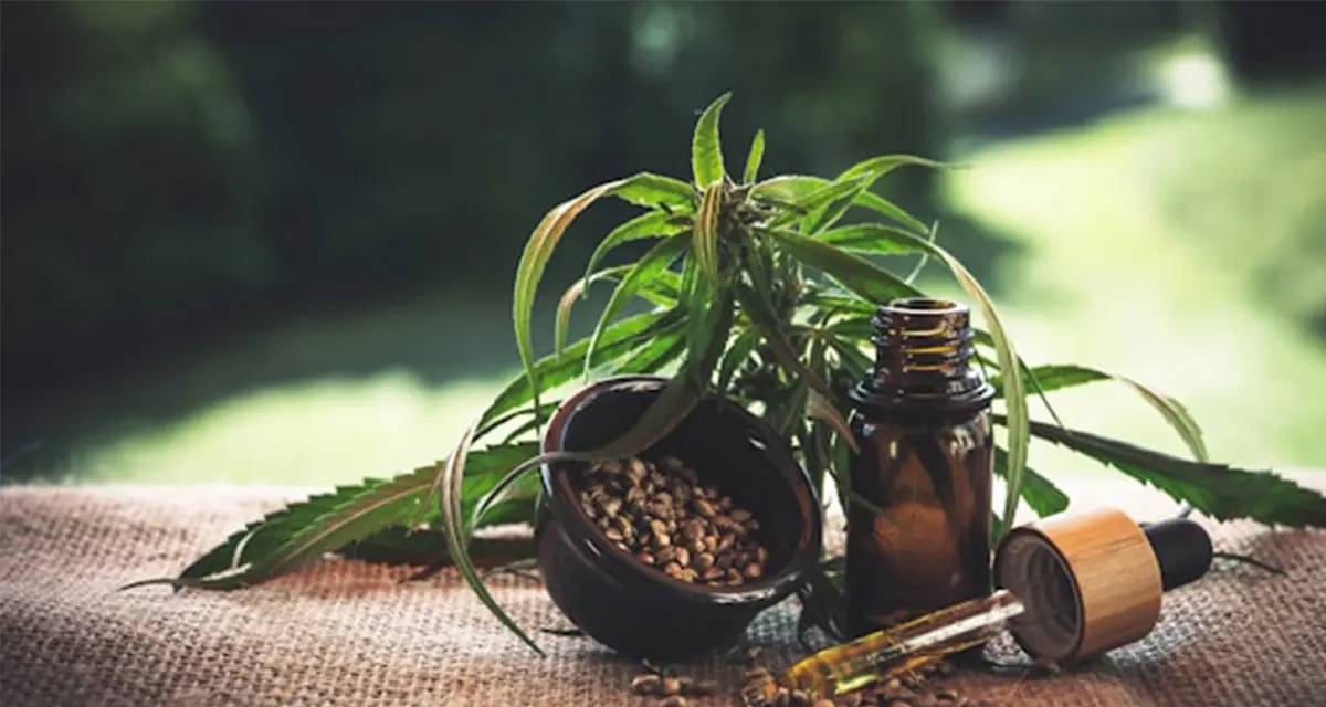Modern hair care products Natural ingredient hair care