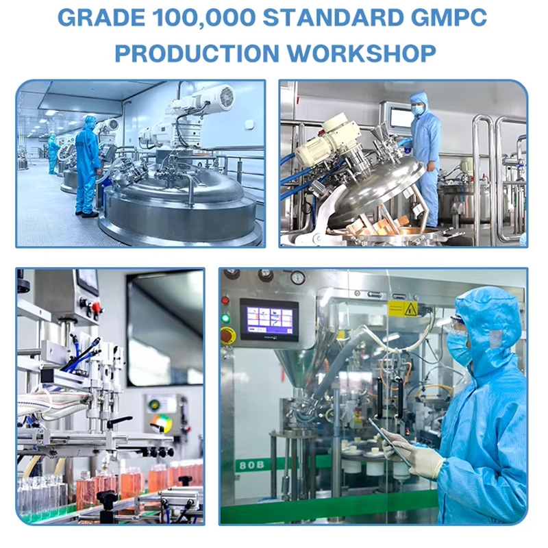 Standard GMPC production workshop